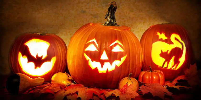 Kürbisse an Halloween (Quelle: JillWellington, Pixabay)