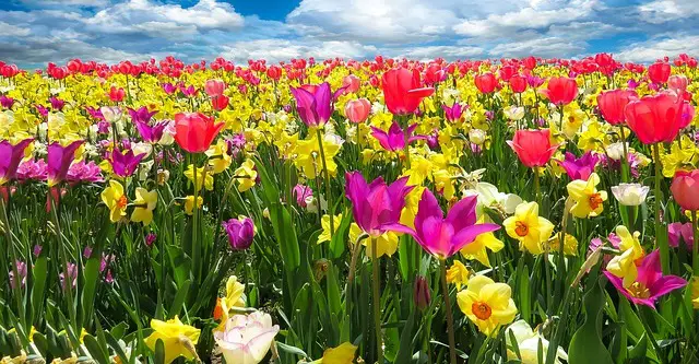 Ostersamstag 2027 - Frühlingserwachen