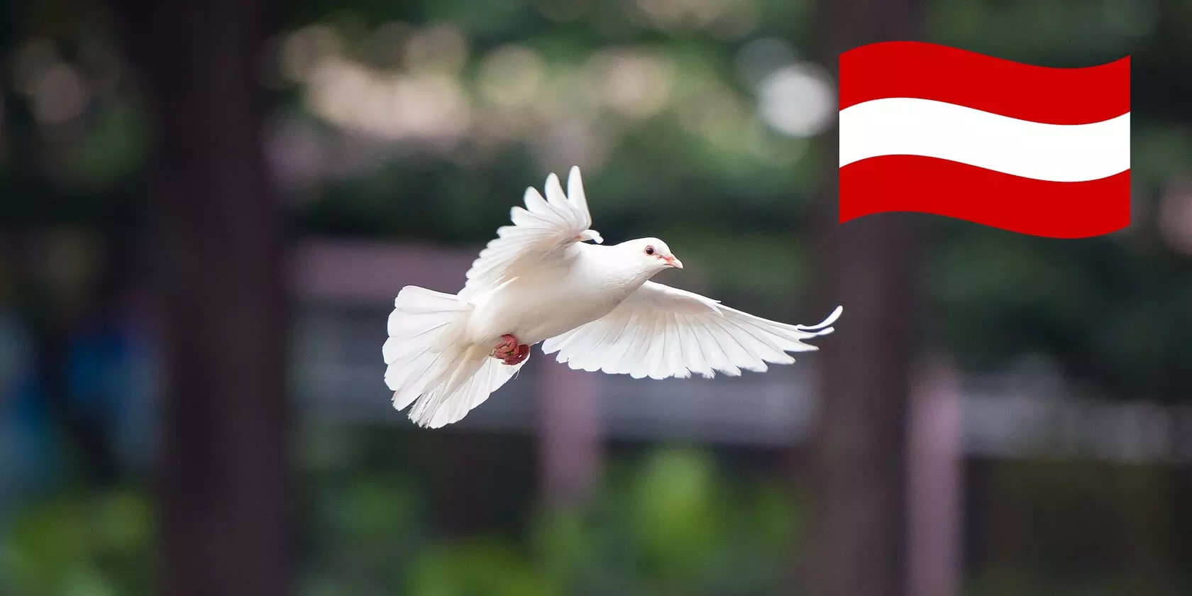 Pfingstmontag in Österreich (Bildquelle: kieutruongphoto, Pixabay)