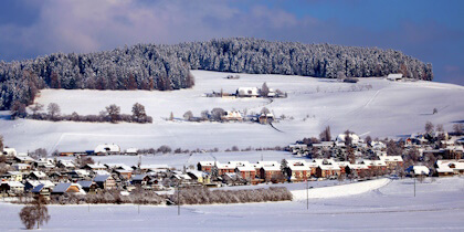 Berchtoldstag 